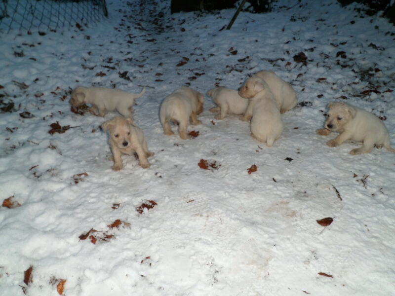 12.12.2012-KWurf erste Schritte im Schnee