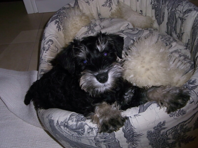 19.3.2012-Janosch Jacco