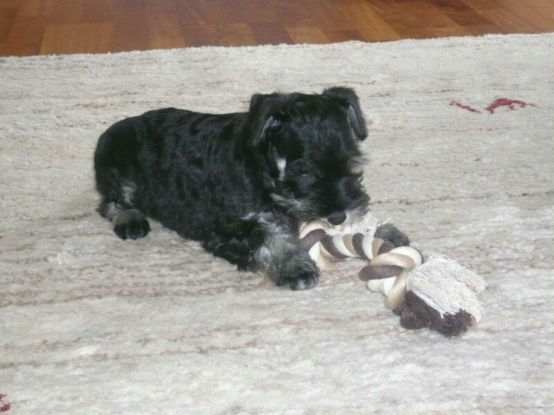 9.4.2012-Juli spielt im liegen